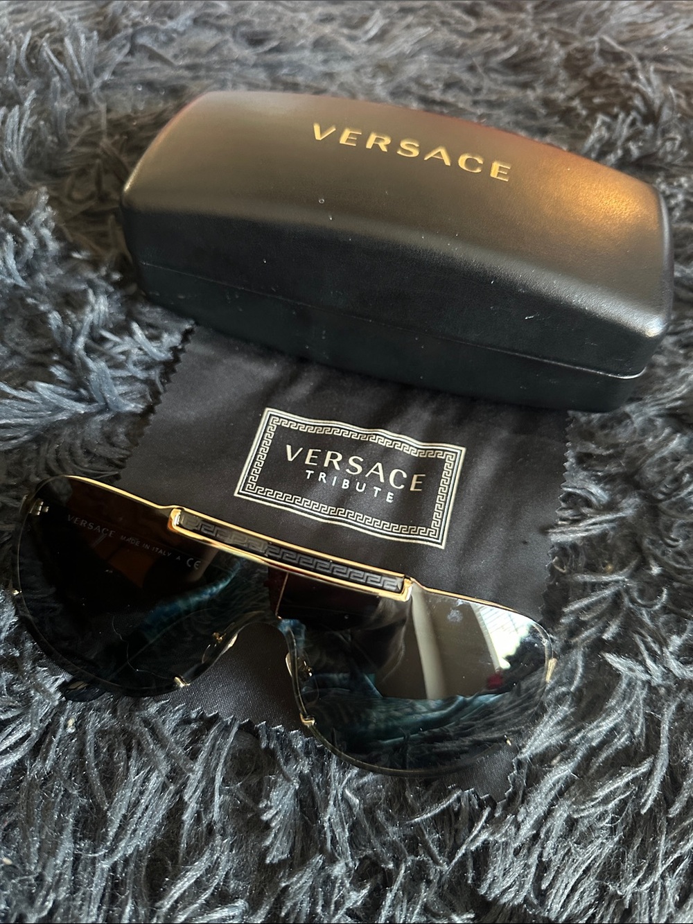 Versace Men’s Shield Sunglasses in Black and Gold